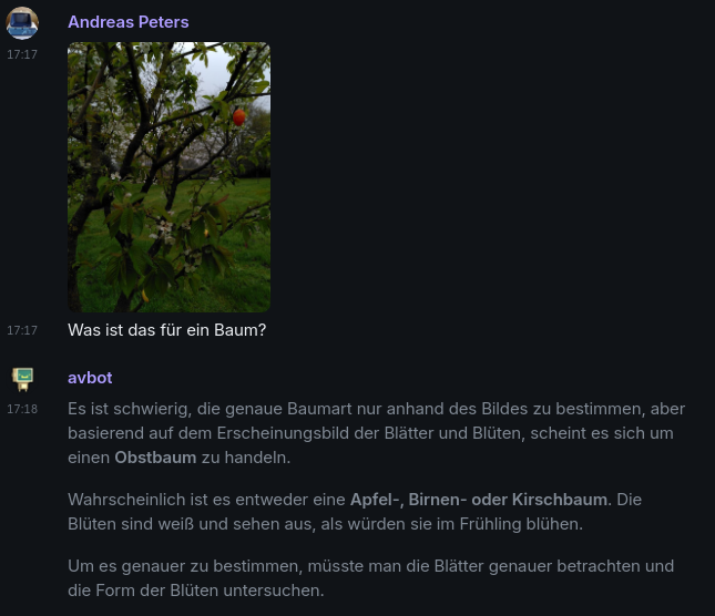 Was ist das für ein Baum?